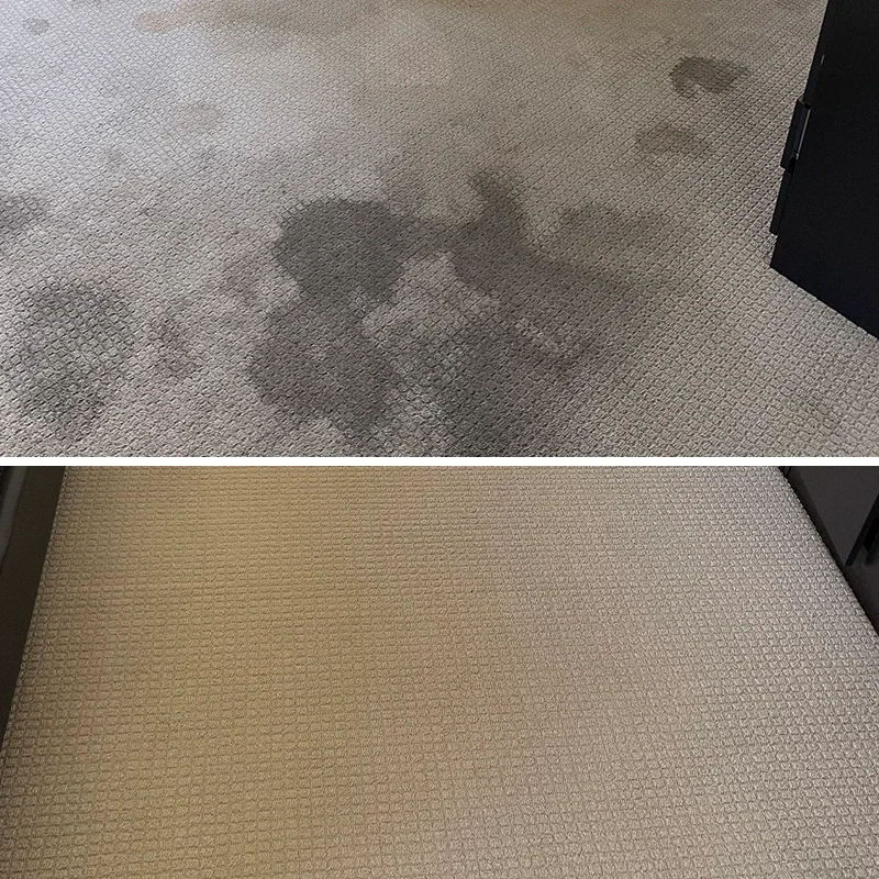 NDIS Carpet Cleaning by Ion Hygenics in Sydney, NSW